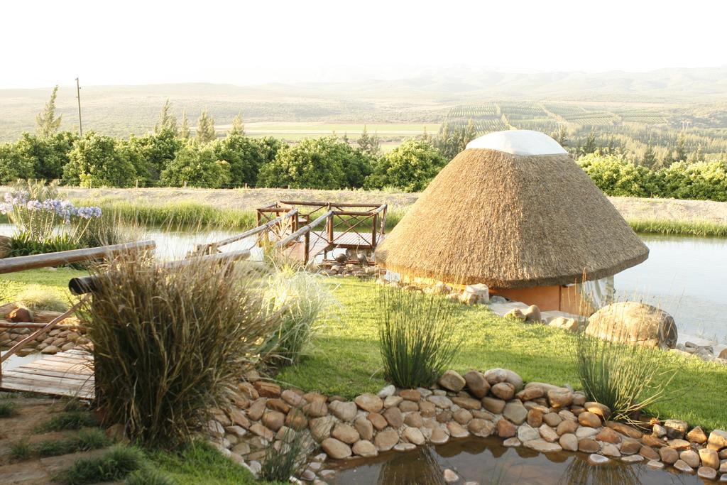 Addo Dung Beetle Guest Farm Villa Kültér fotó