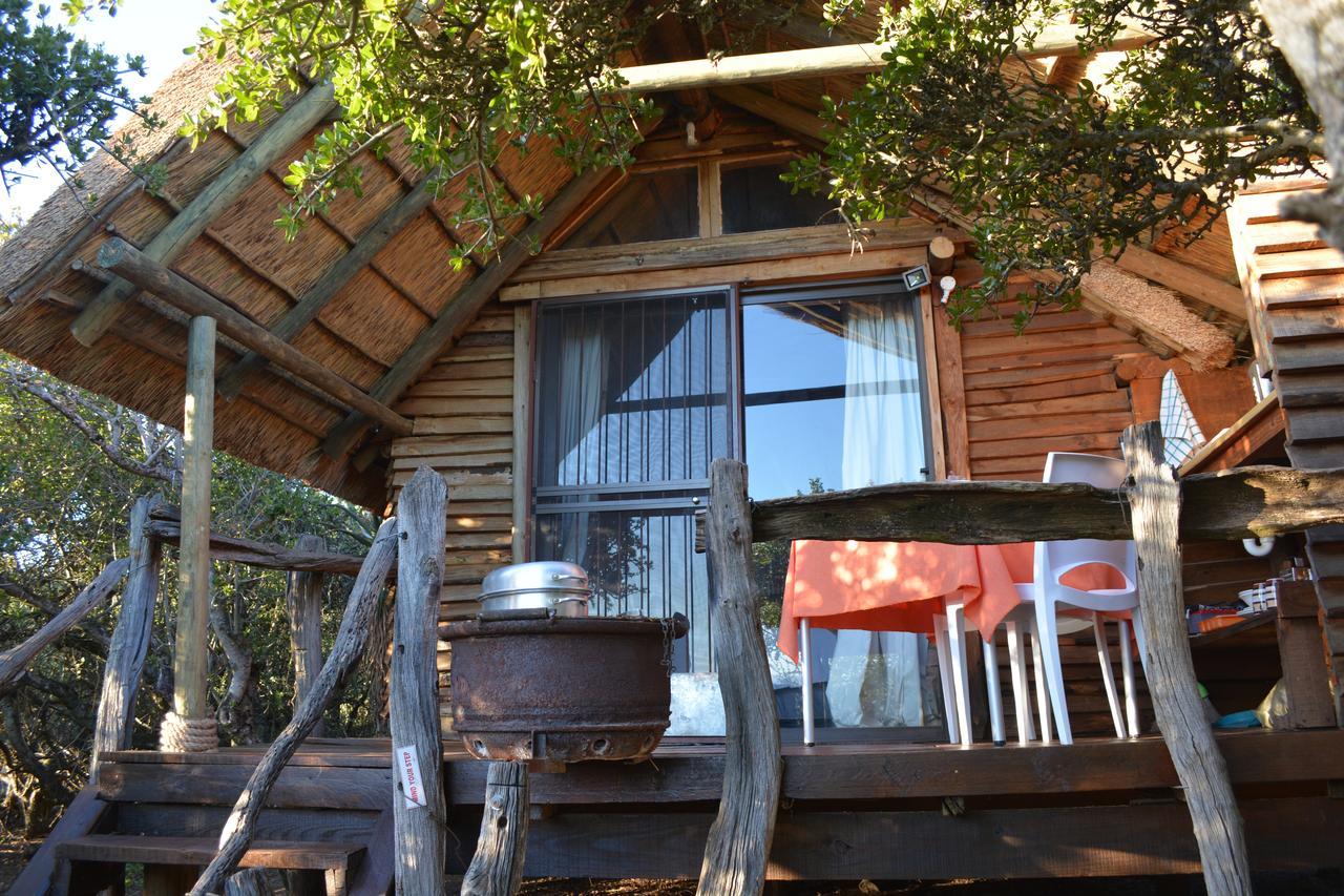 Addo Dung Beetle Guest Farm Villa Kültér fotó