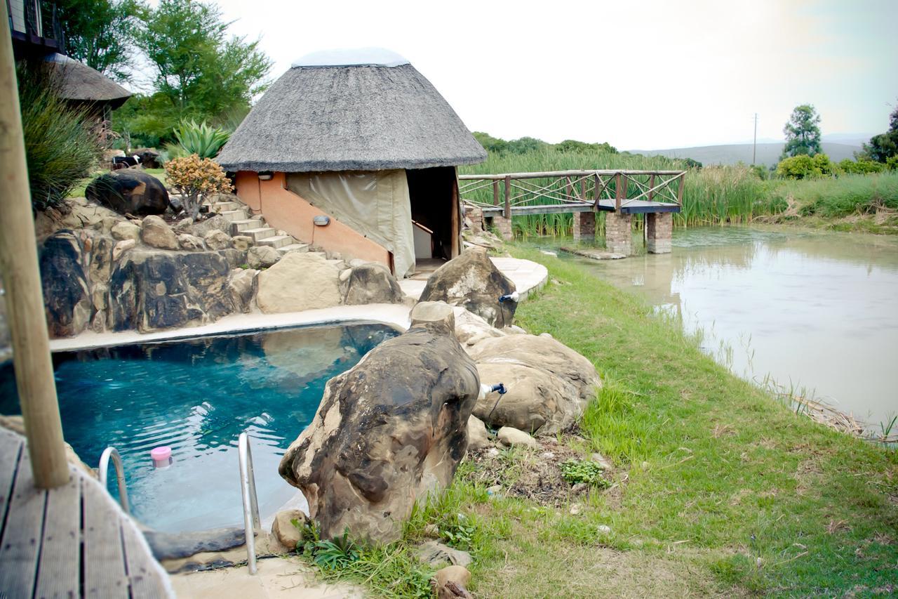 Addo Dung Beetle Guest Farm Villa Kültér fotó