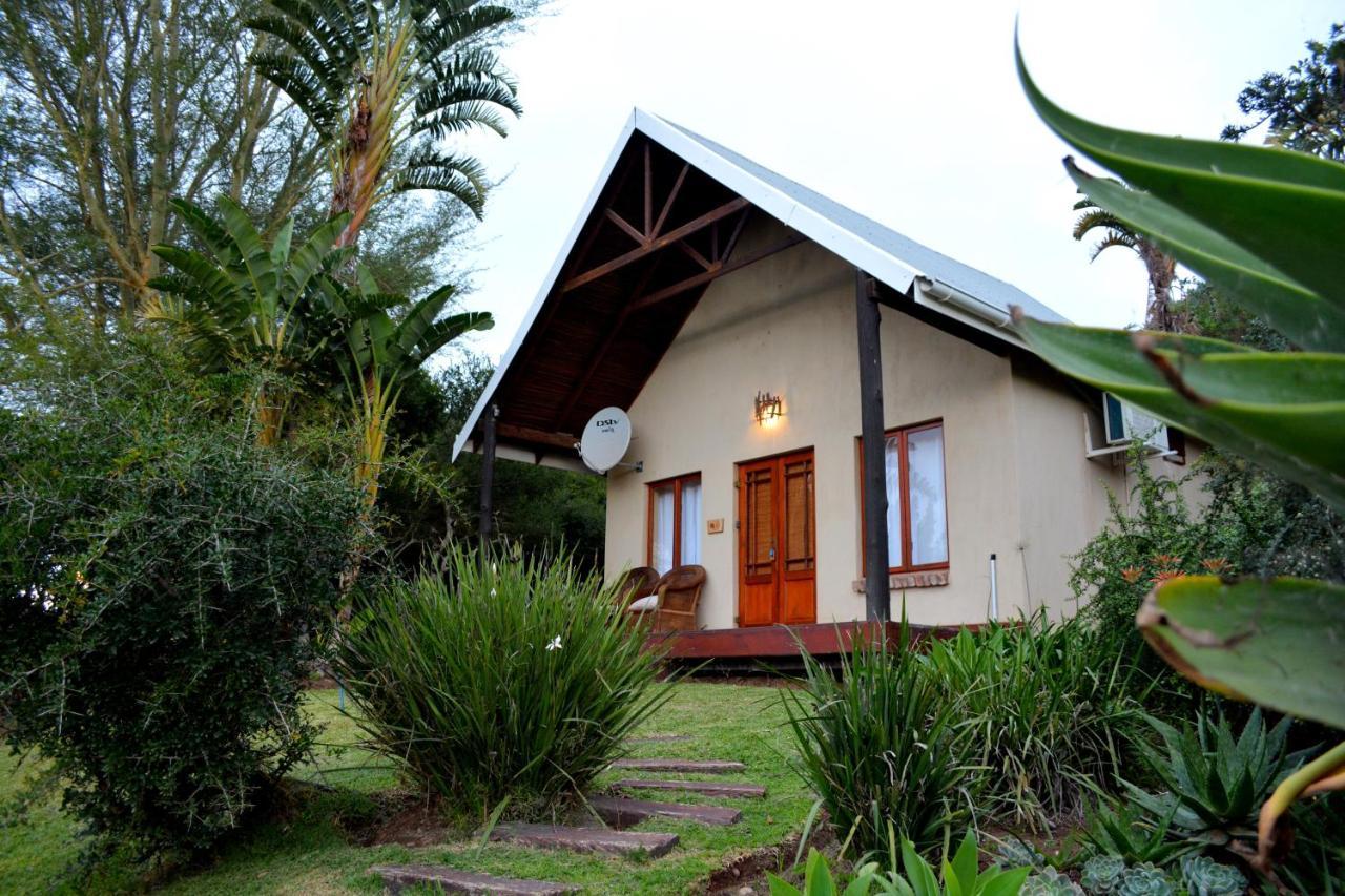 Addo Dung Beetle Guest Farm Villa Kültér fotó