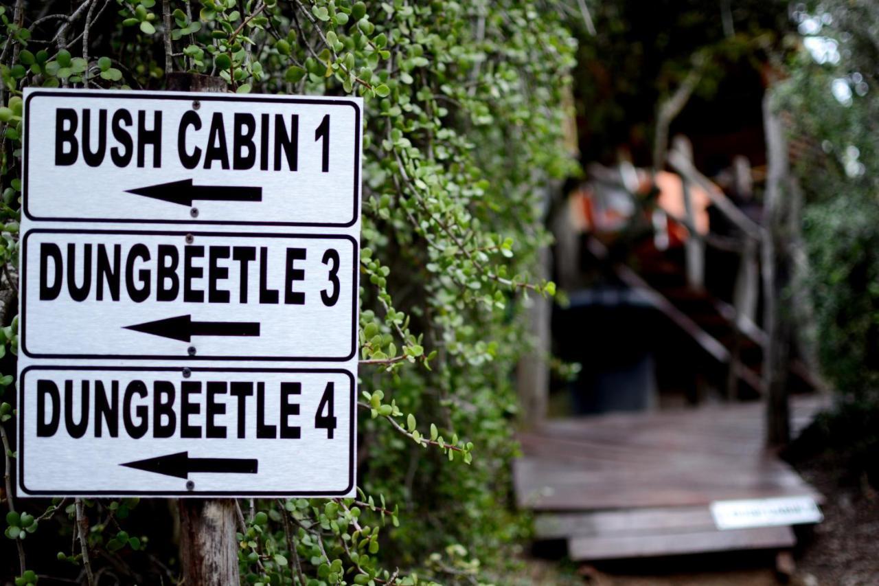 Addo Dung Beetle Guest Farm Villa Kültér fotó